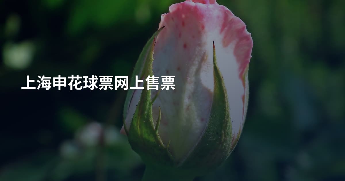 上海申花球票网上售票