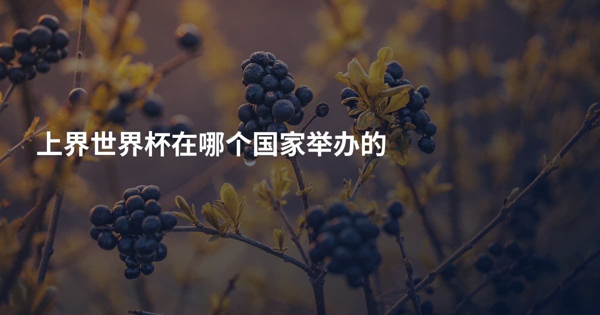 上界世界杯在哪个国家举办的