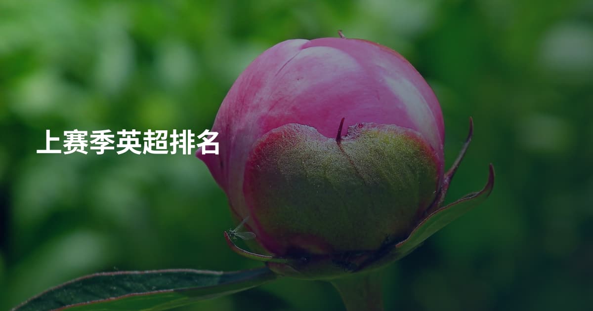 上赛季英超排名
