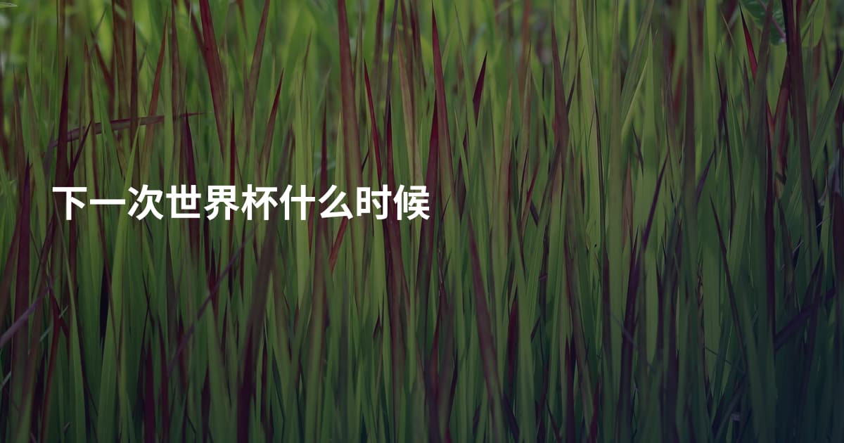 下一次世界杯什么时候