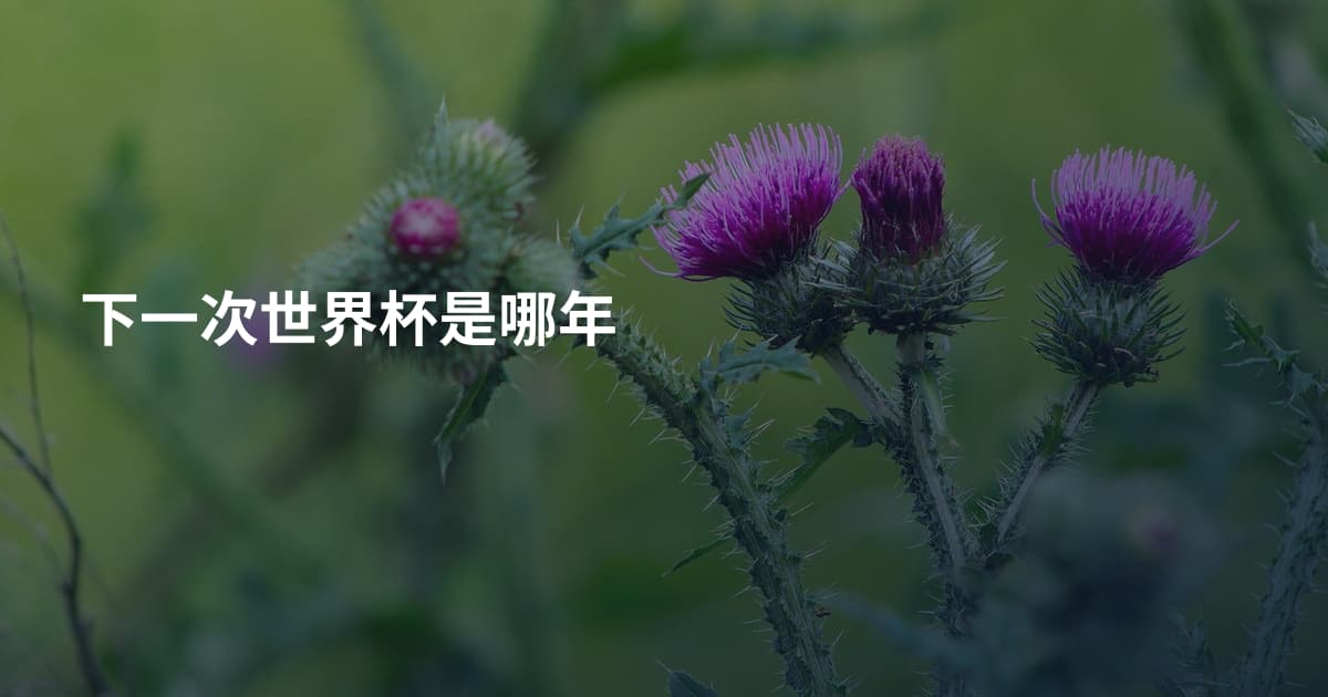 下一次世界杯是哪年