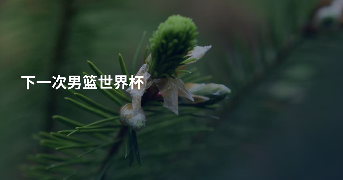 下一次男篮世界杯