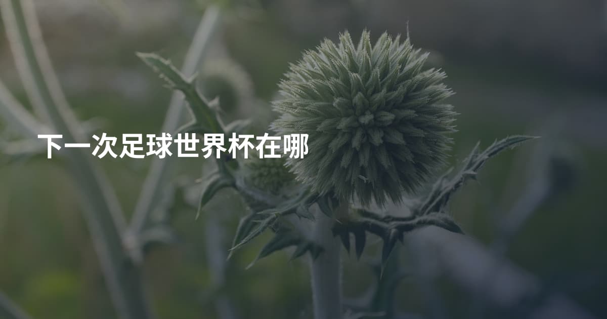 下一次足球世界杯在哪