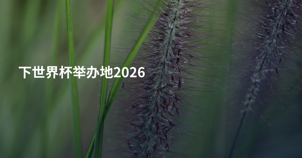 下世界杯举办地2026
