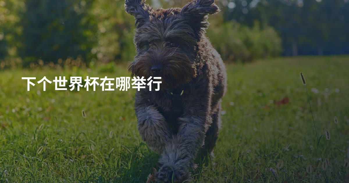 下个世界杯在哪举行
