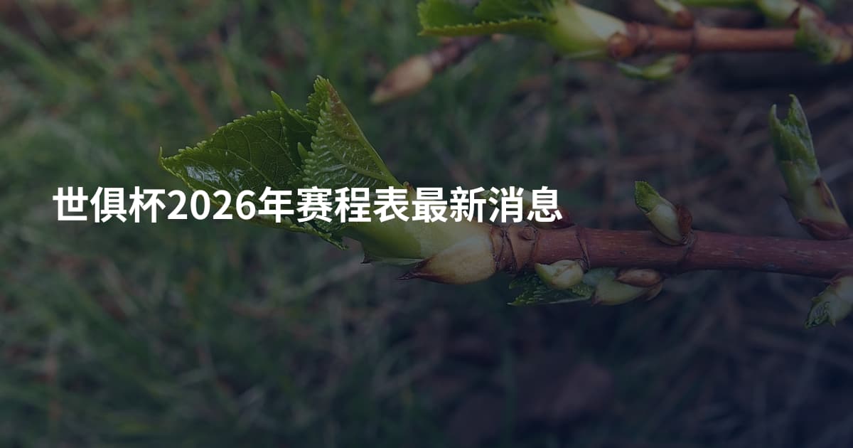 世俱杯2026年赛程表最新消息