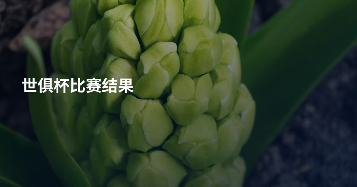 世俱杯比赛结果