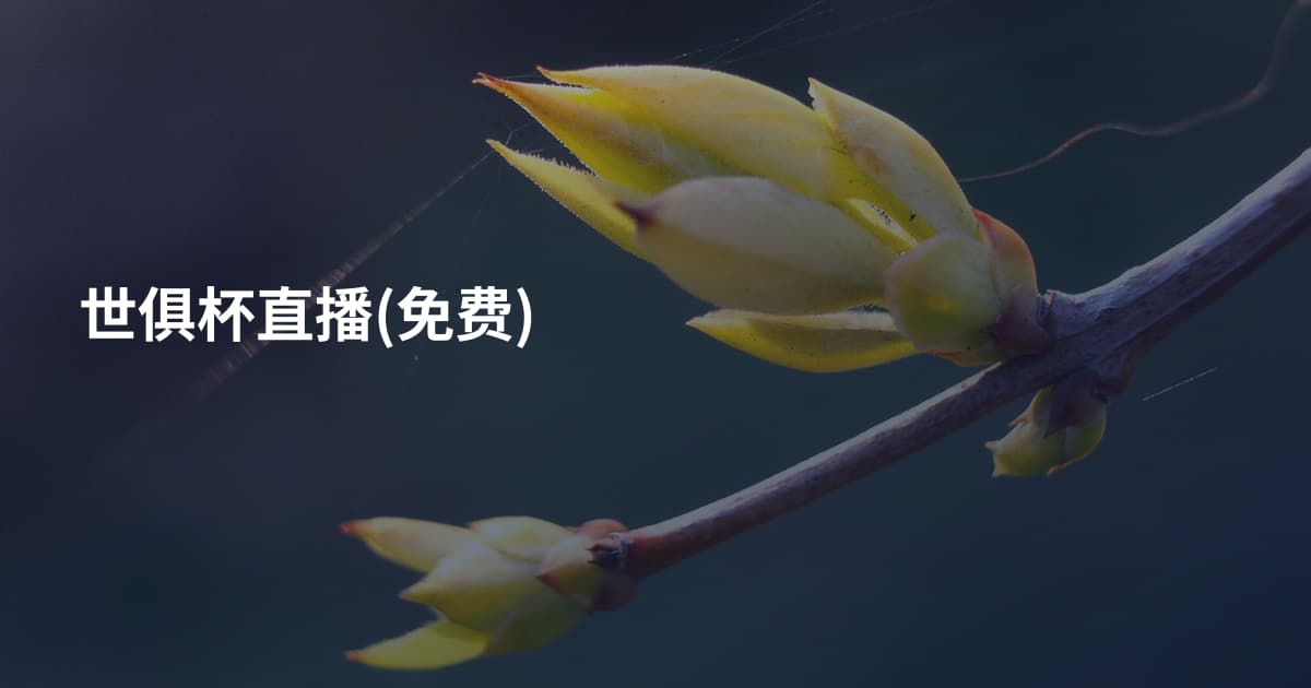 世俱杯直播(免费)
