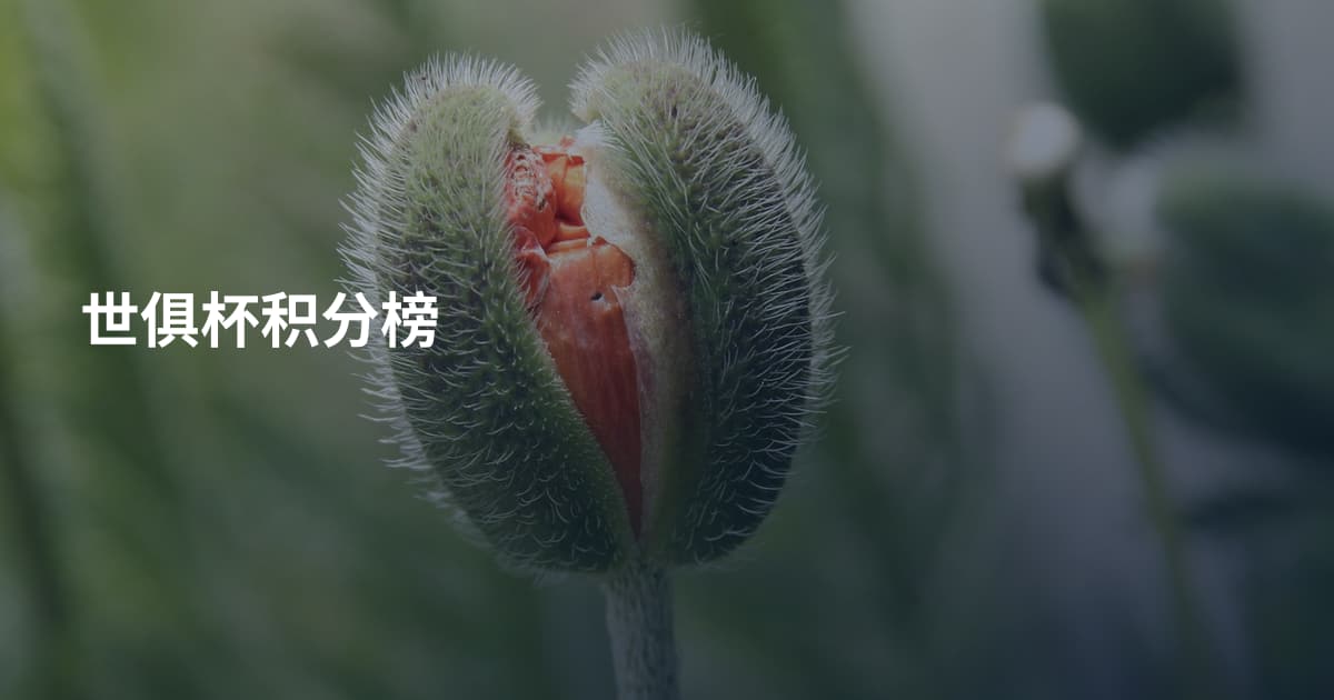 世俱杯积分榜