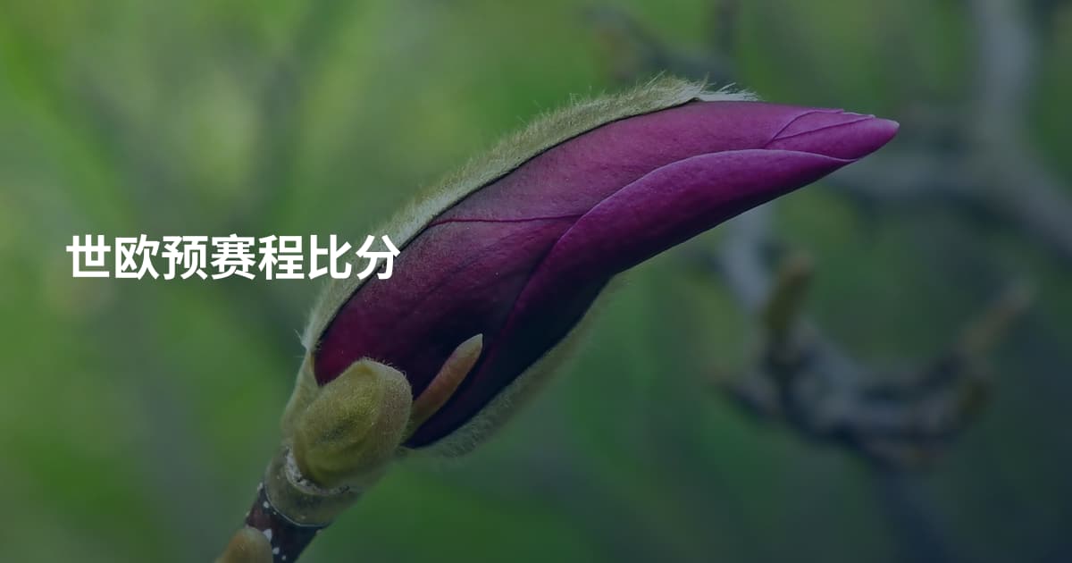 世欧预赛程比分
