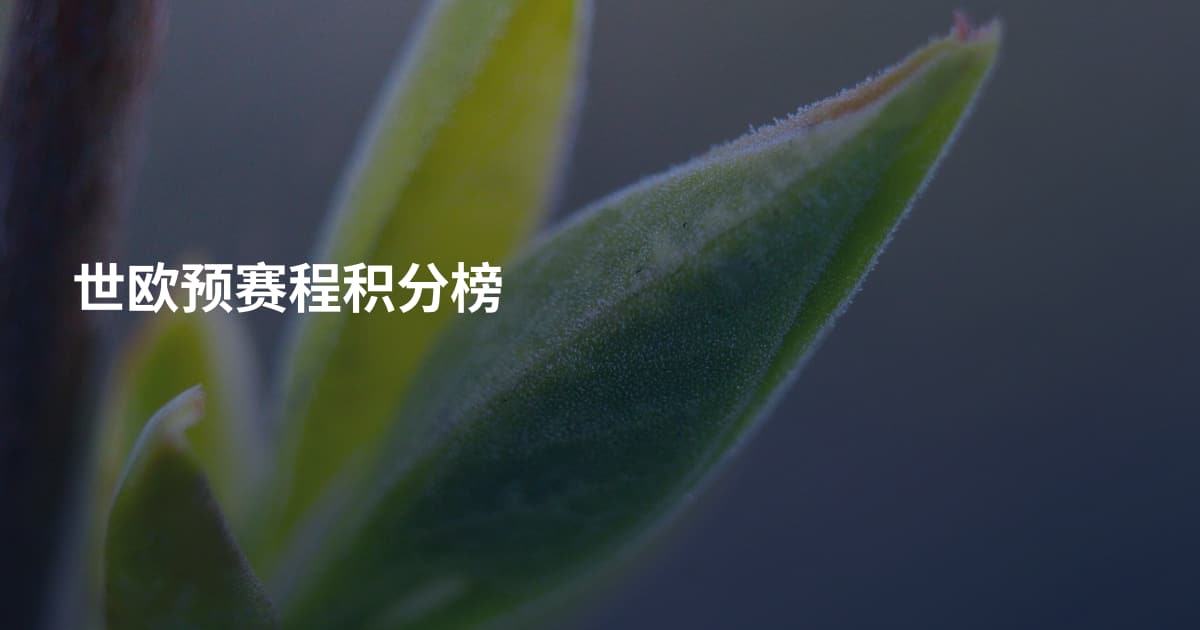 世欧预赛程积分榜