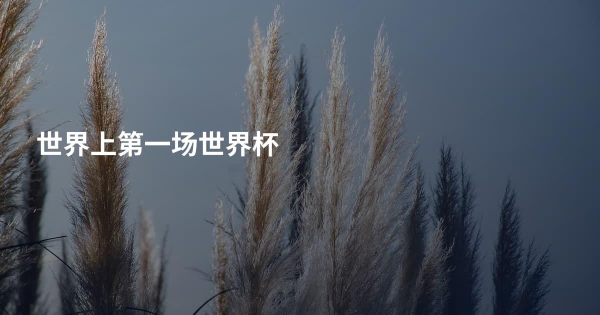 世界上第一场世界杯
