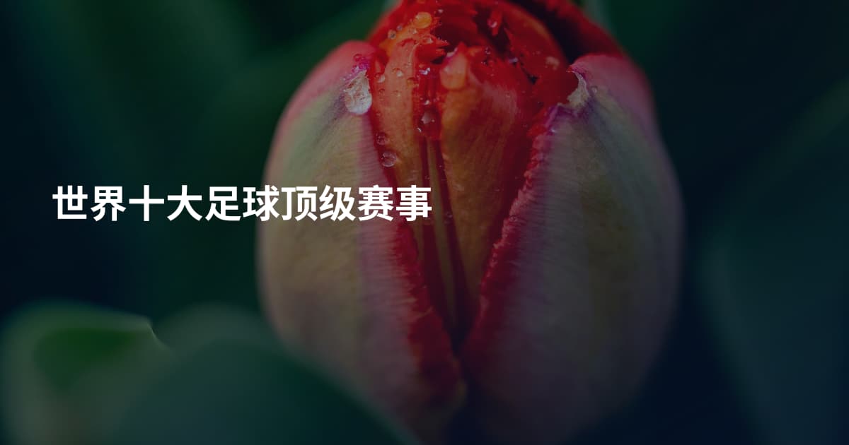 世界十大足球顶级赛事