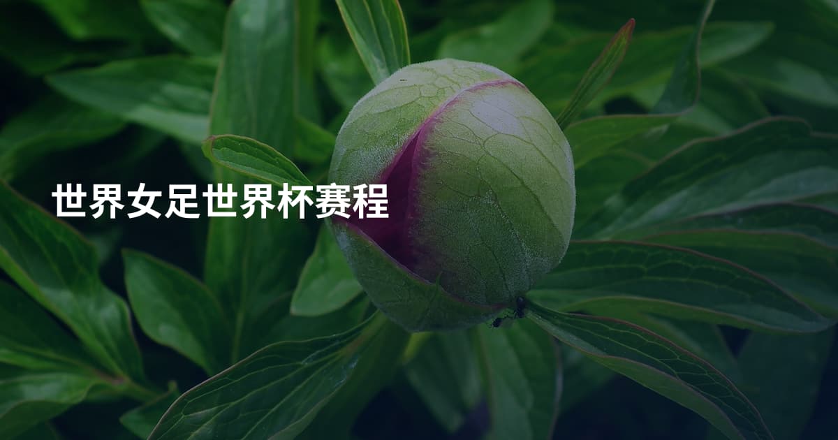世界女足世界杯赛程