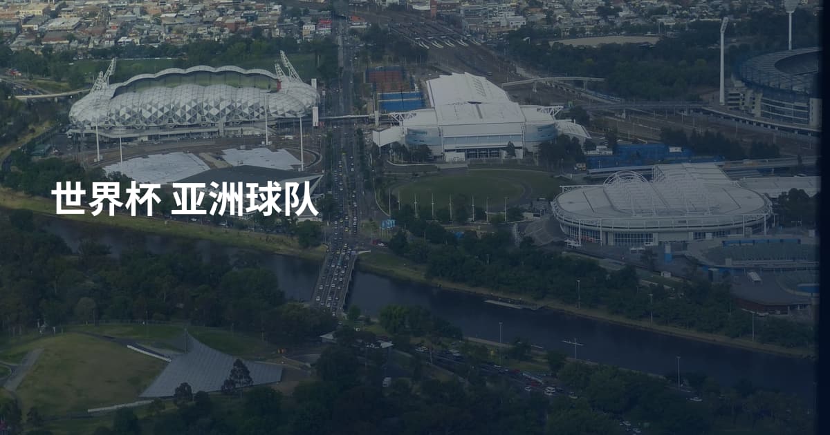 世界杯 亚洲球队