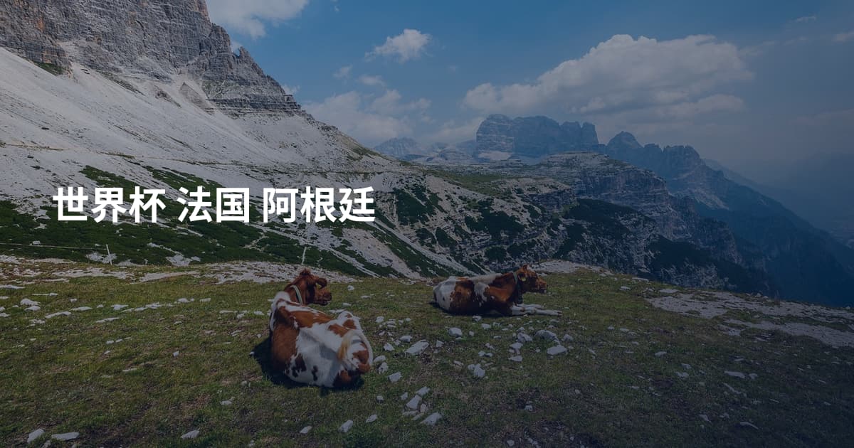 世界杯 法国 阿根廷