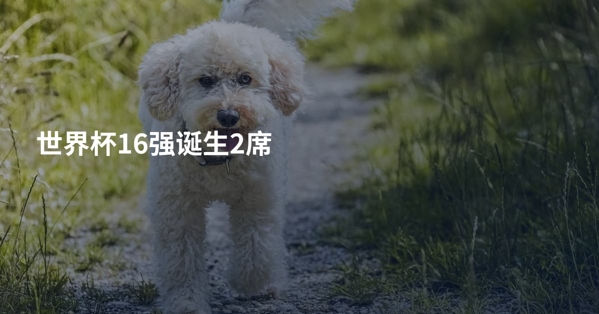 世界杯16强诞生2席
