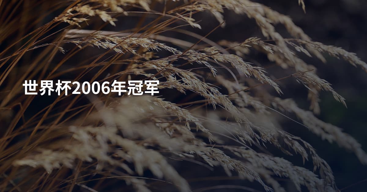 世界杯2006年冠军