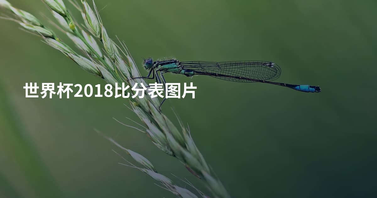 世界杯2018比分表图片