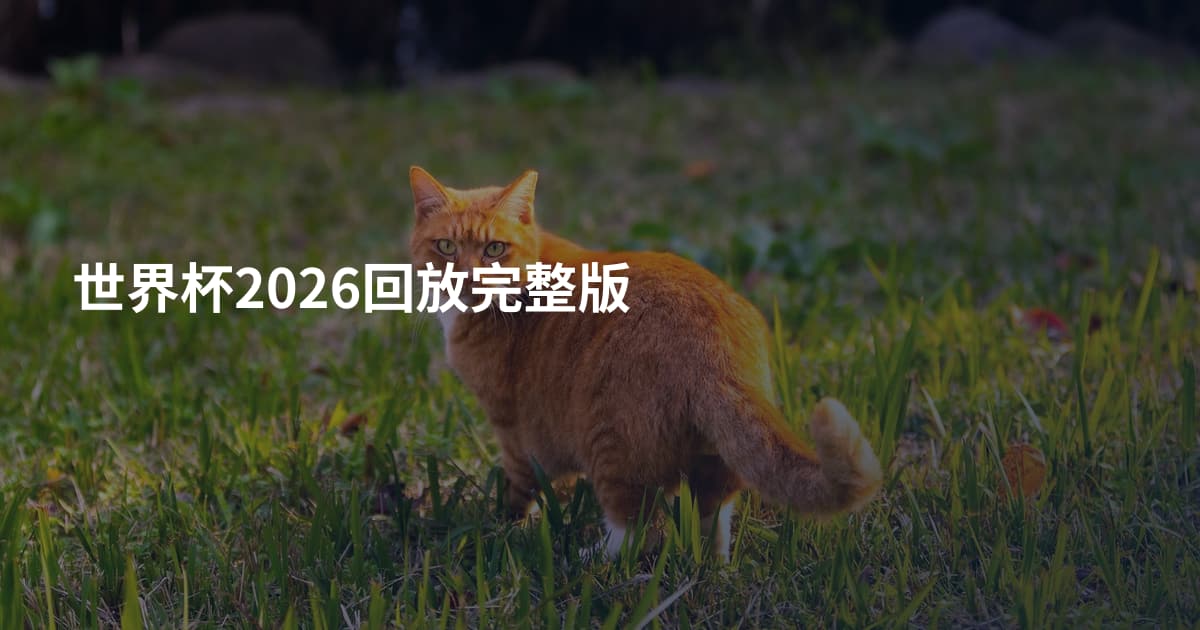 世界杯2026回放完整版