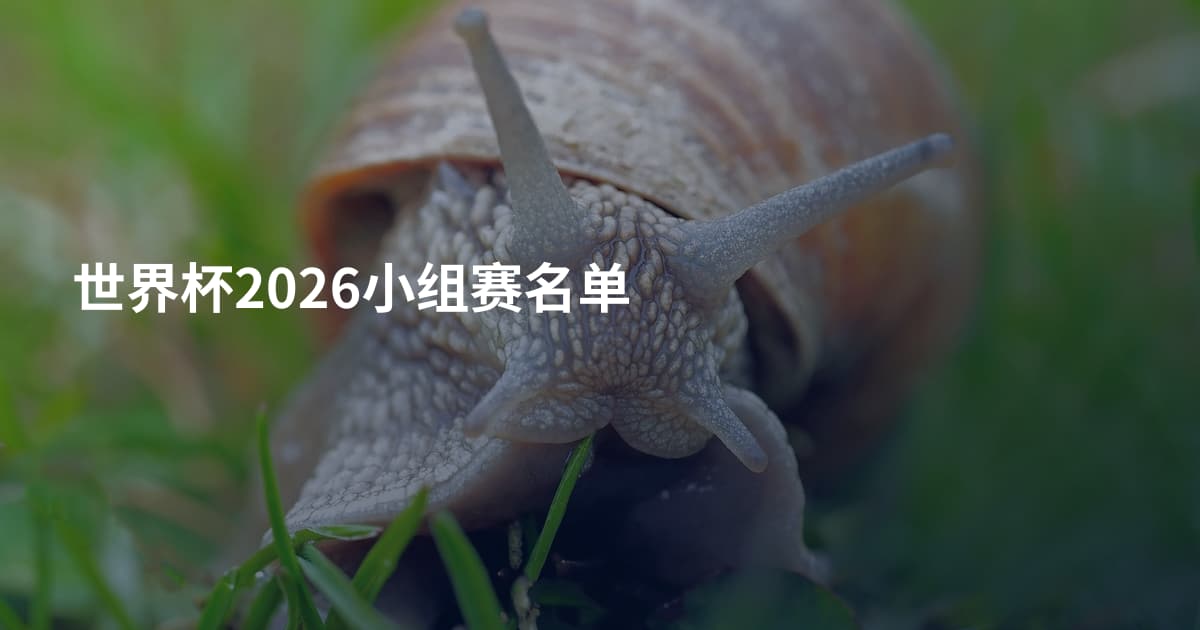 世界杯2026小组赛名单