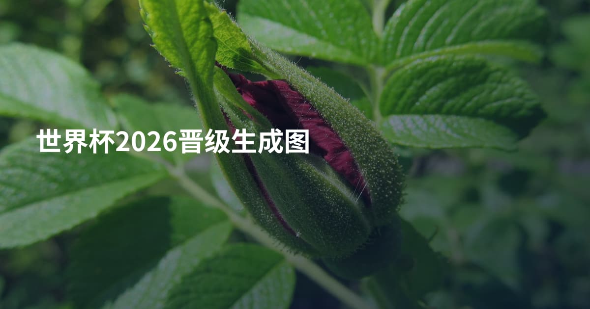 世界杯2026晋级生成图