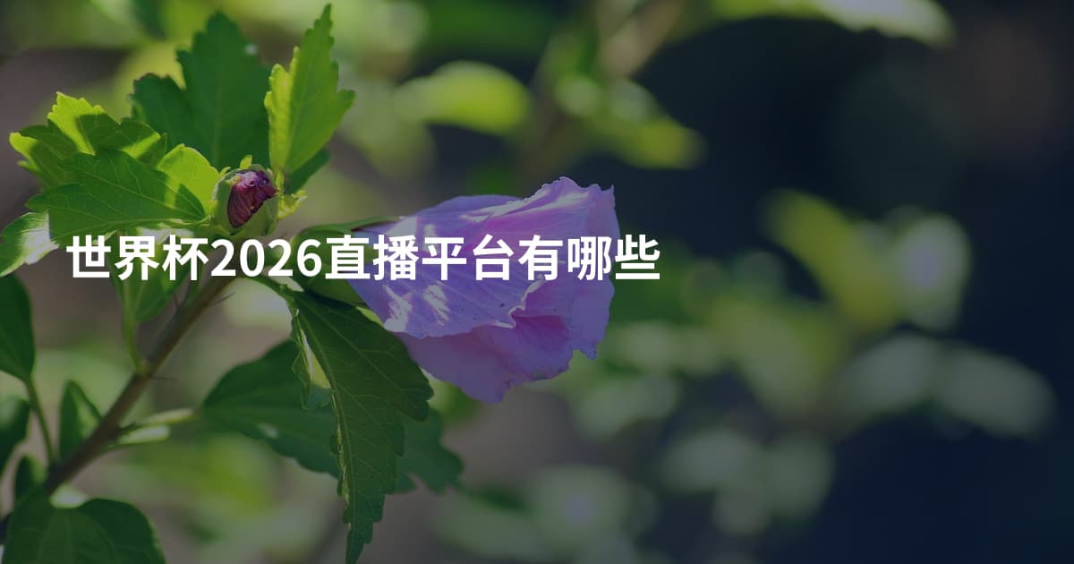 世界杯2026直播平台有哪些