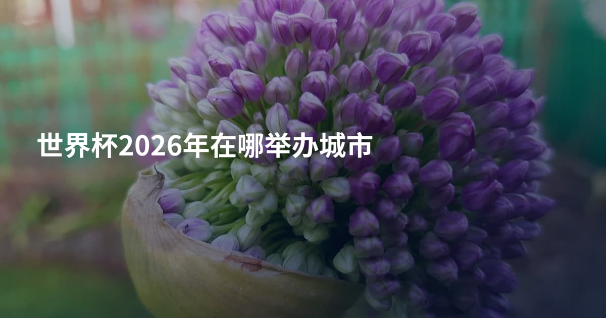 世界杯2026年在哪举办城市