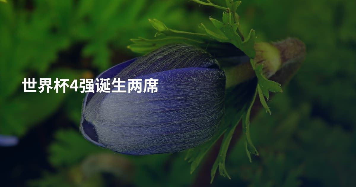 世界杯4强诞生两席