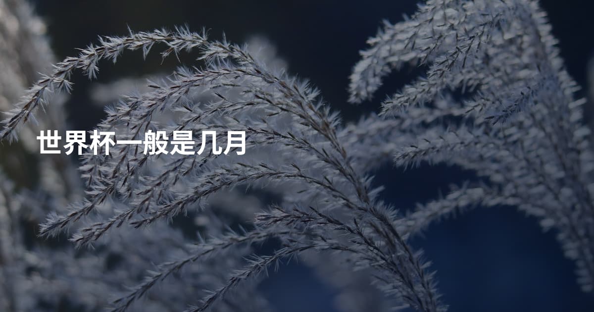 世界杯一般是几月
