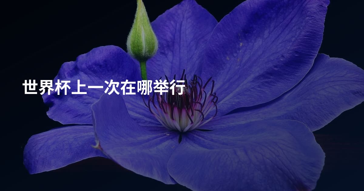 世界杯上一次在哪举行