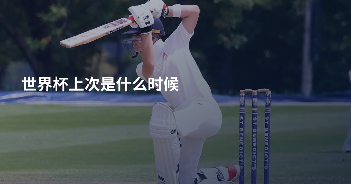 世界杯上次是什么时候