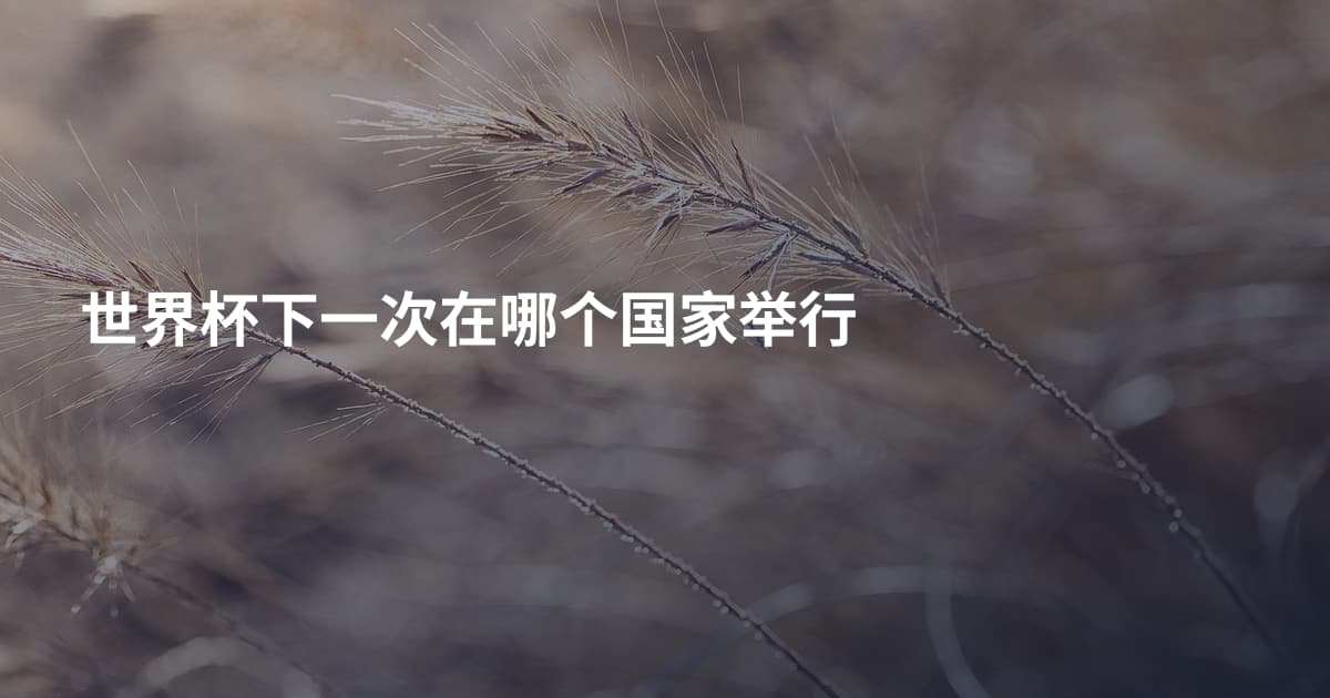 世界杯下一次在哪个国家举行