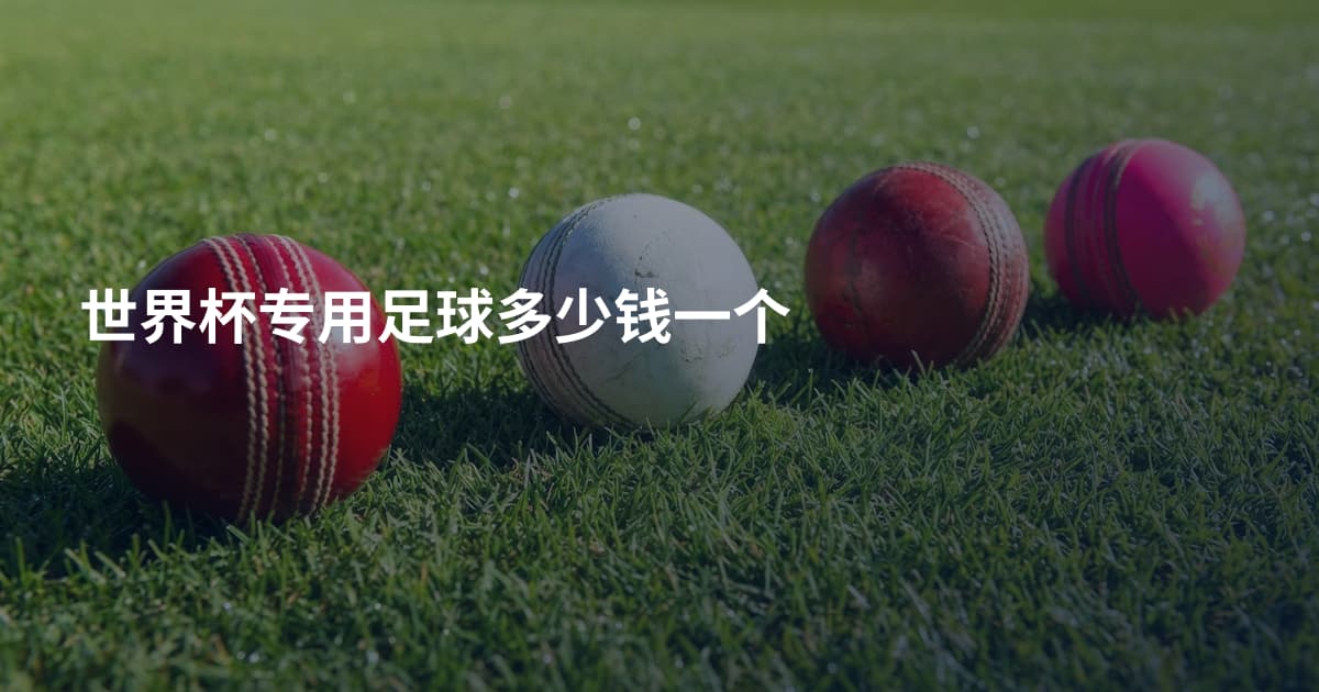 世界杯专用足球多少钱一个