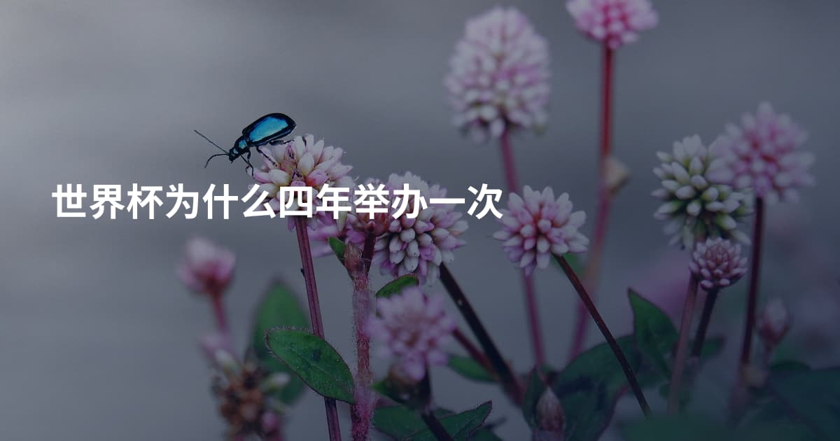 世界杯为什么四年举办一次
