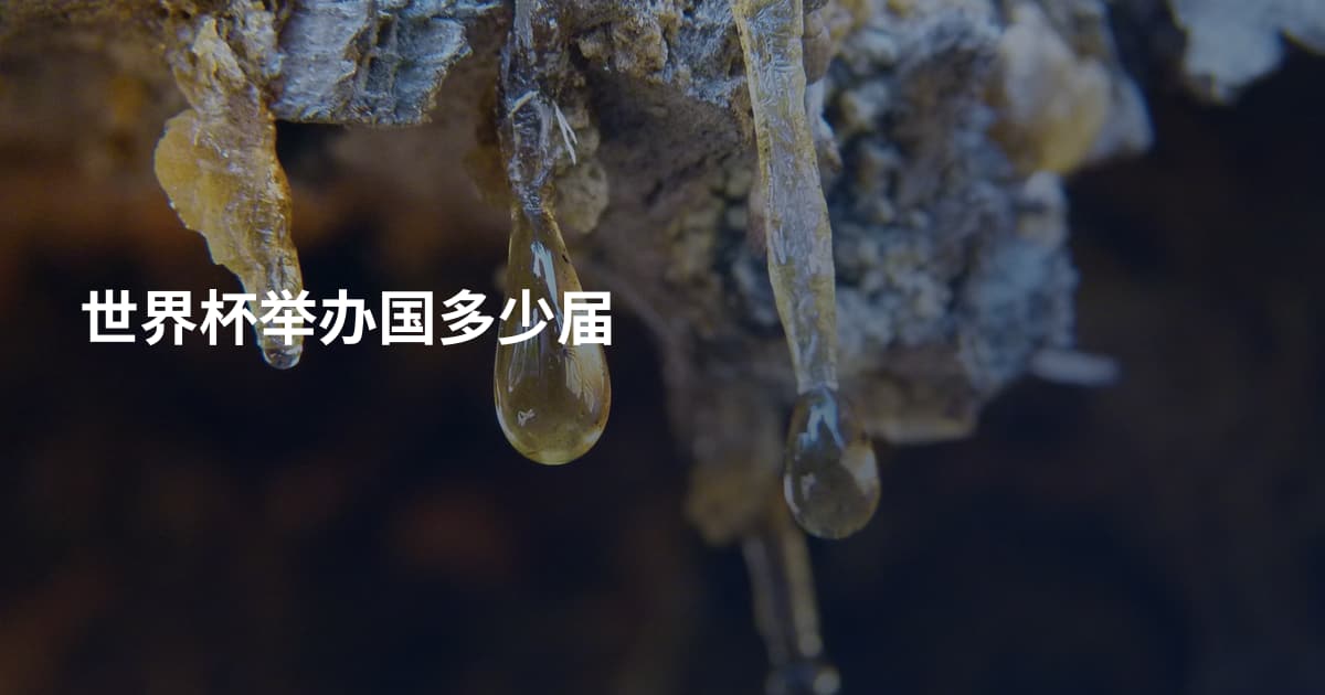 世界杯举办国多少届