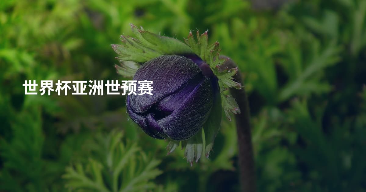 世界杯亚洲世预赛