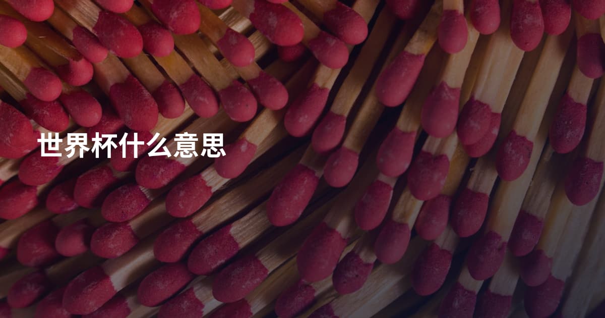 世界杯什么意思