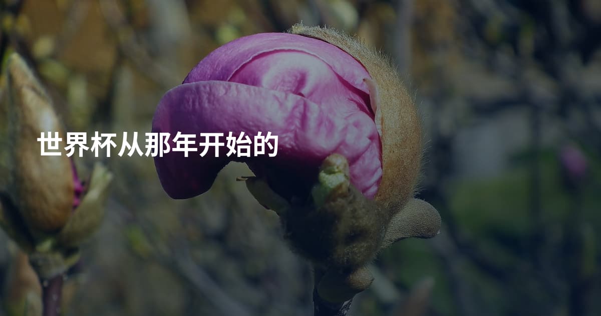 世界杯从那年开始的