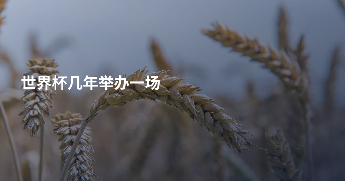 世界杯几年举办一场