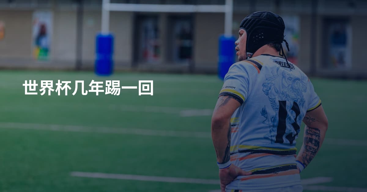 世界杯几年踢一回