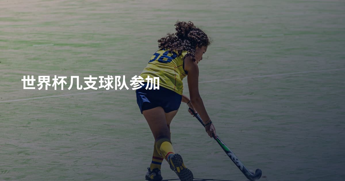 世界杯几支球队参加