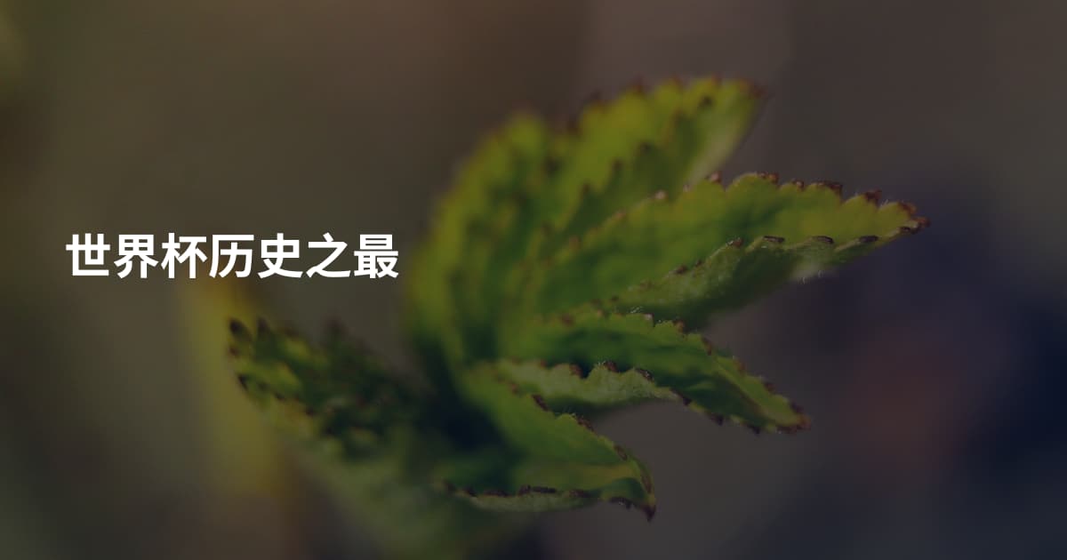 世界杯历史之最