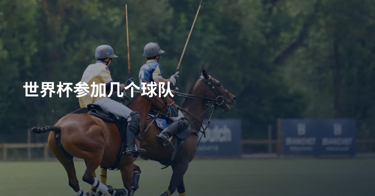 世界杯参加几个球队