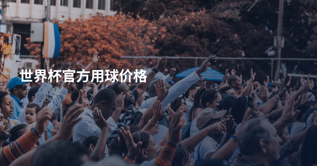 世界杯官方用球价格