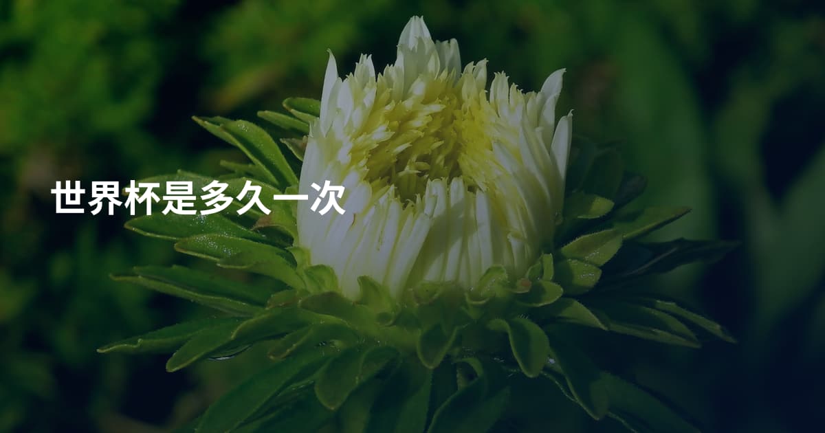 世界杯是多久一次