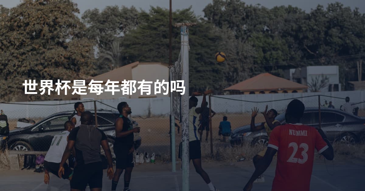 世界杯是每年都有的吗