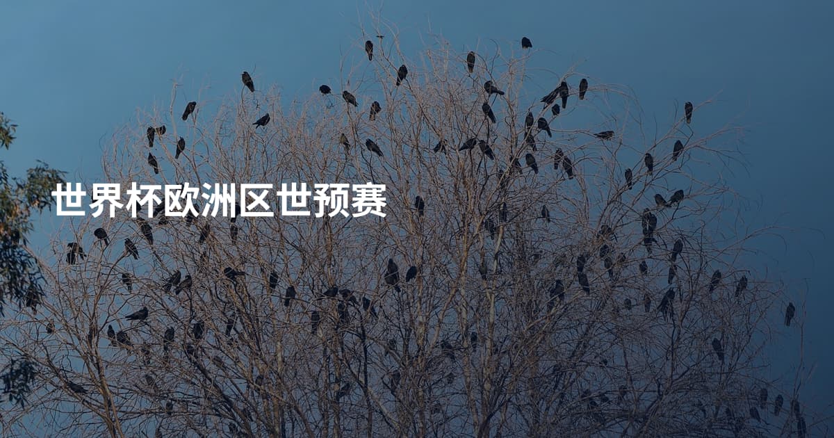 世界杯欧洲区世预赛