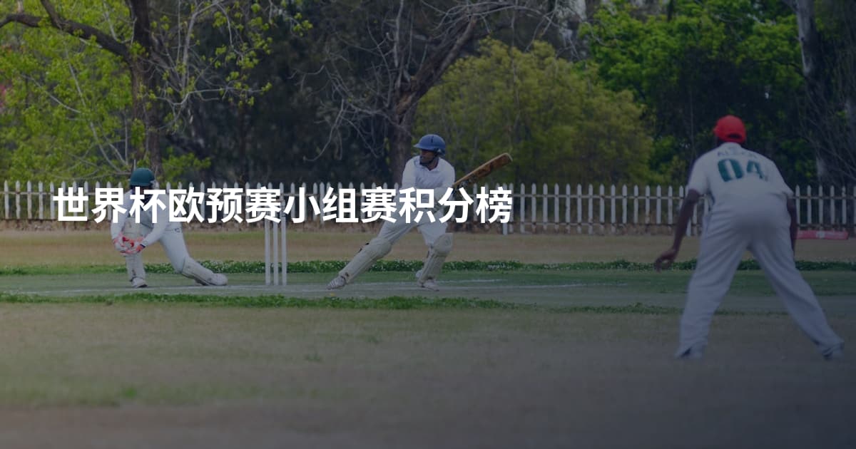 世界杯欧预赛小组赛积分榜