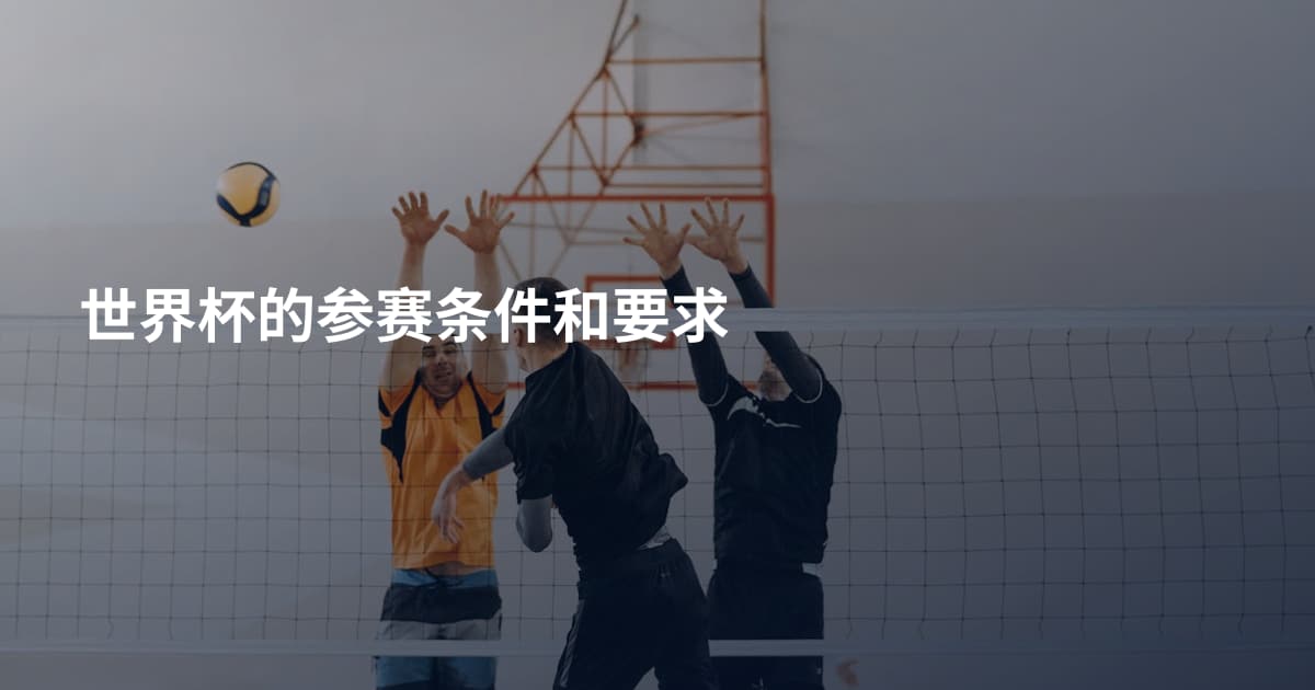 世界杯的参赛条件和要求